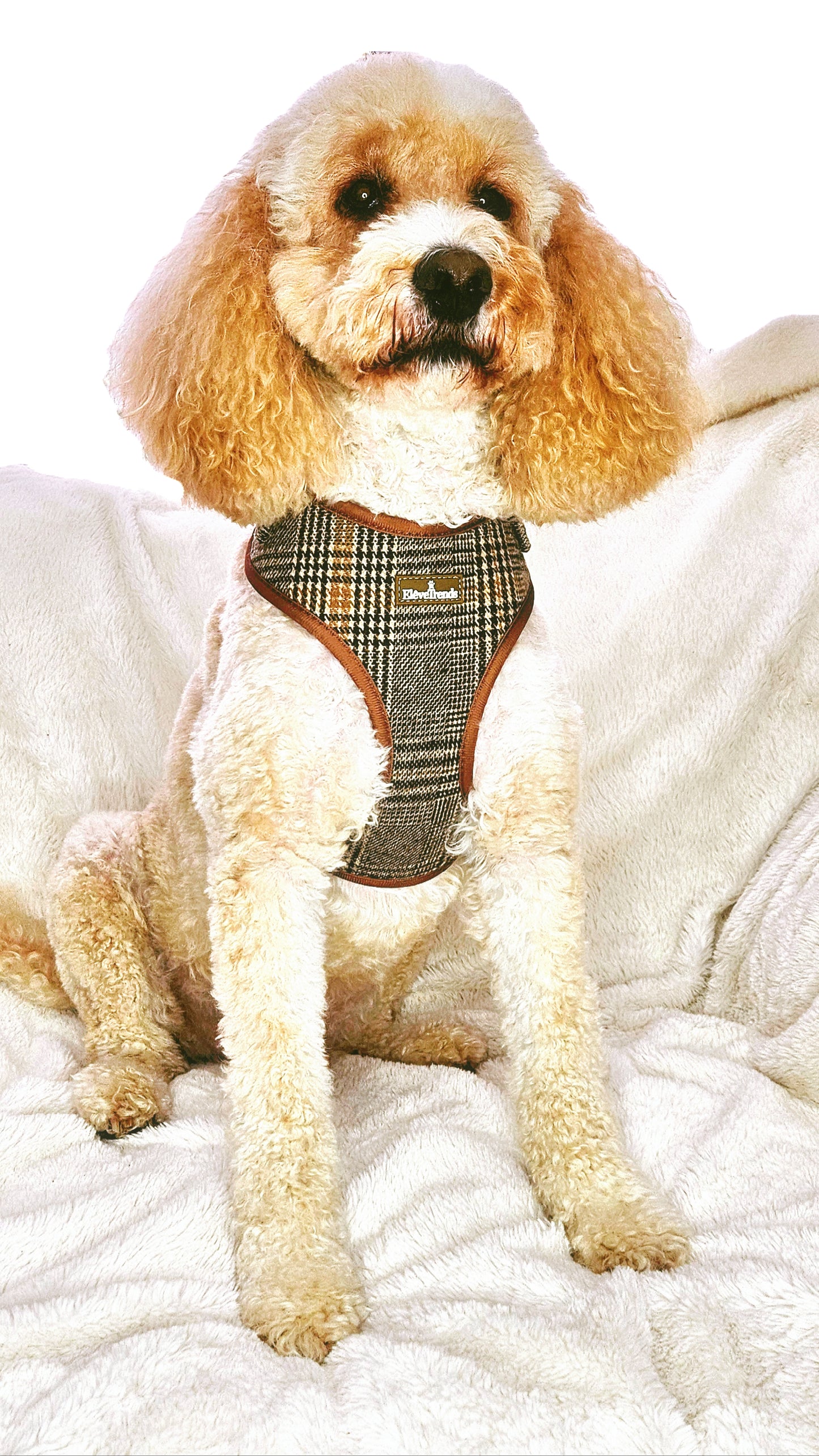 Tweed Check Harness & Lead Set