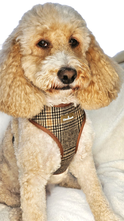 Tweed Check Harness & Lead Set