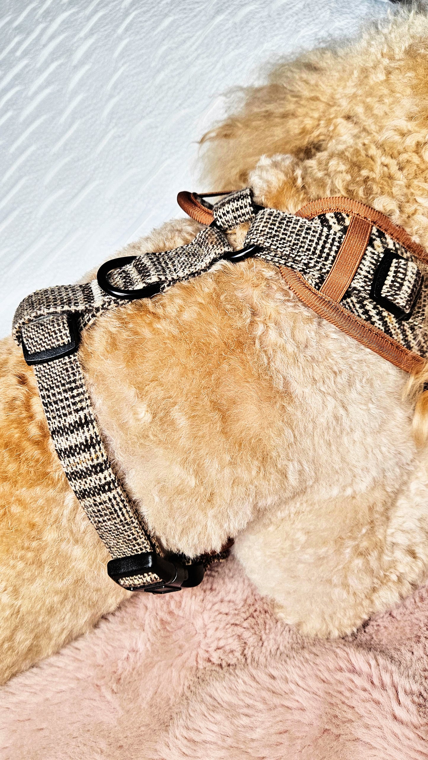 Tweed Check Harness & Lead Set